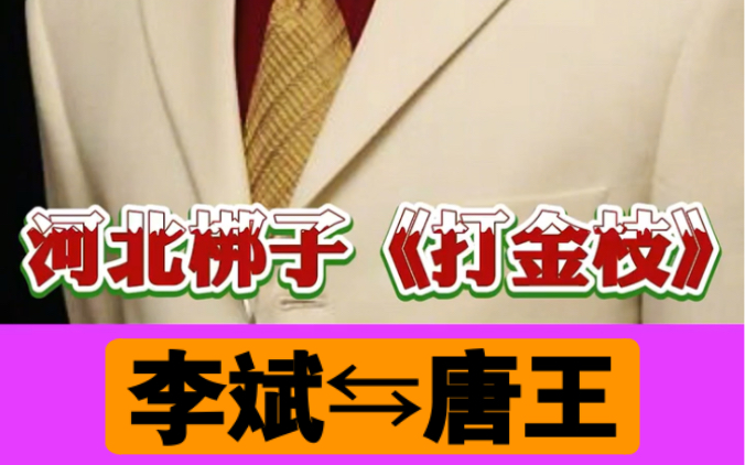 河北梆子《打金枝》李斌 饰 唐王天津市河北梆子剧院哔哩哔哩bilibili