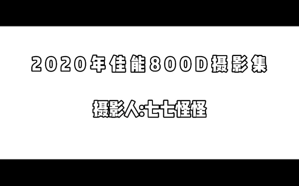 买了不久的佳能800D竟然拍的这么好!哔哩哔哩bilibili