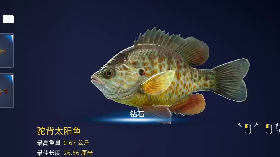 荒野的召唤垂钓者西班牙钻石驼背太阳鱼点位及推荐勾饵