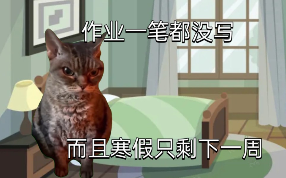 [图]【猫猫meme】关于我与寒假作业的故事