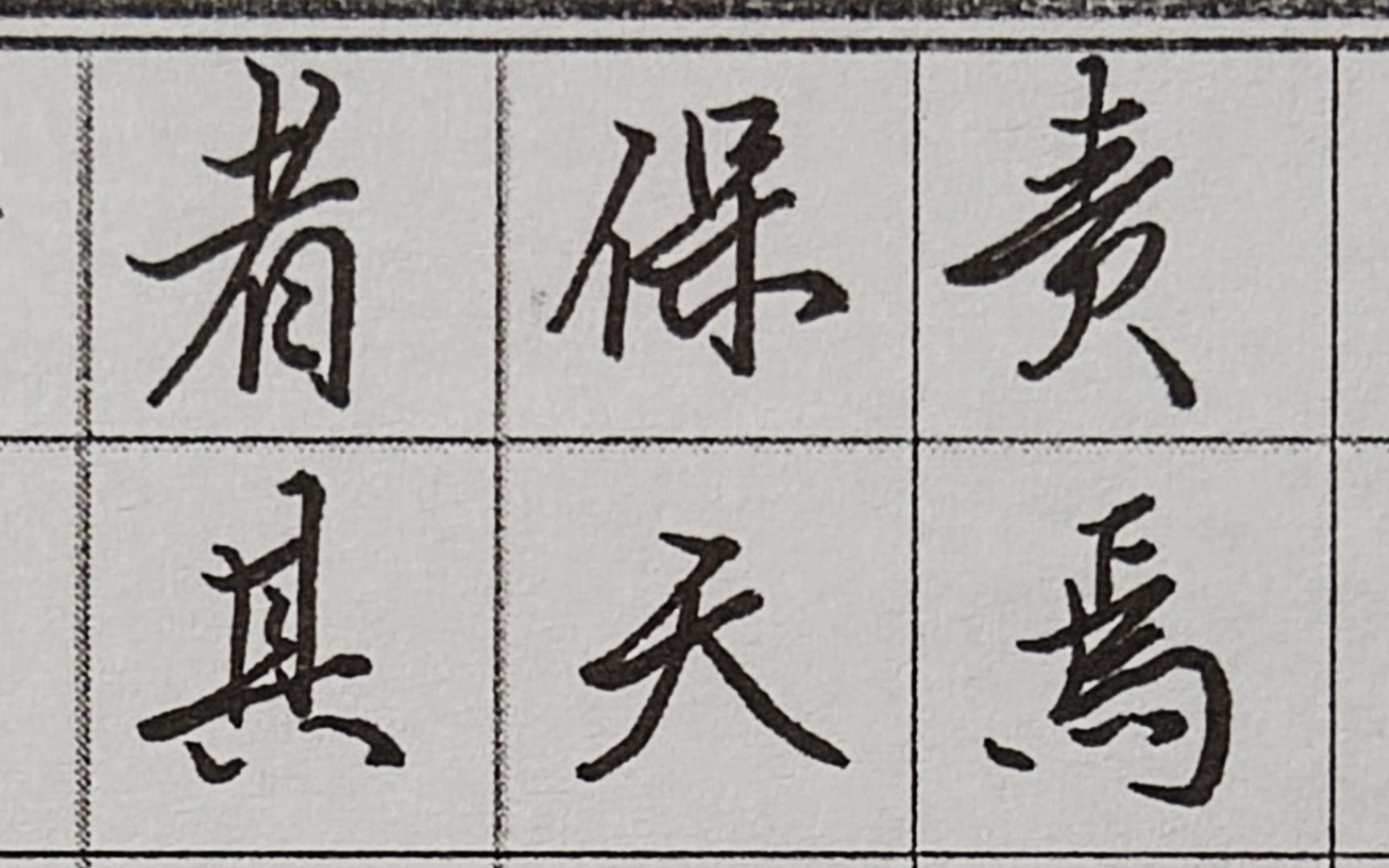 天下兴亡,匹夫有责,国之兴亡,肉食者谋 硬笔书法