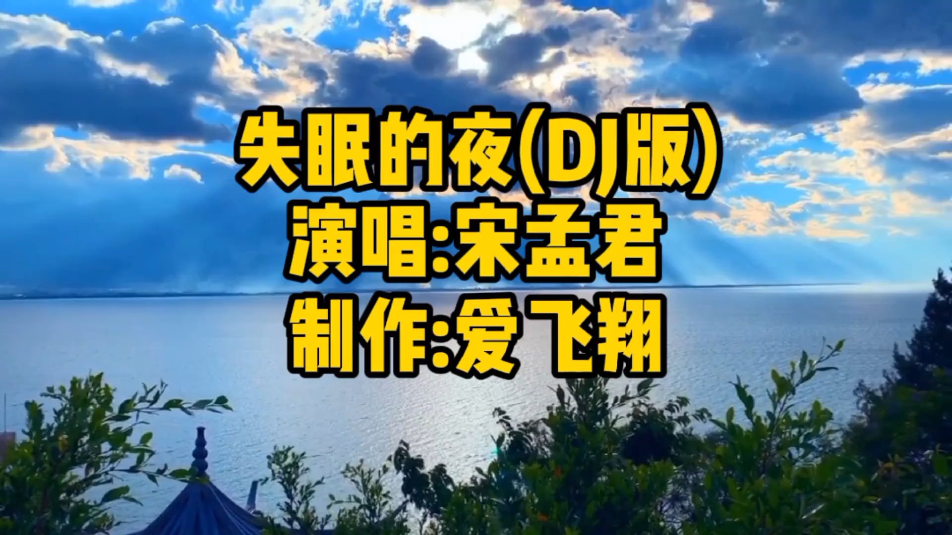 [图]宋孟君一首《失眠的夜(DJ版）》今夜我又失眠