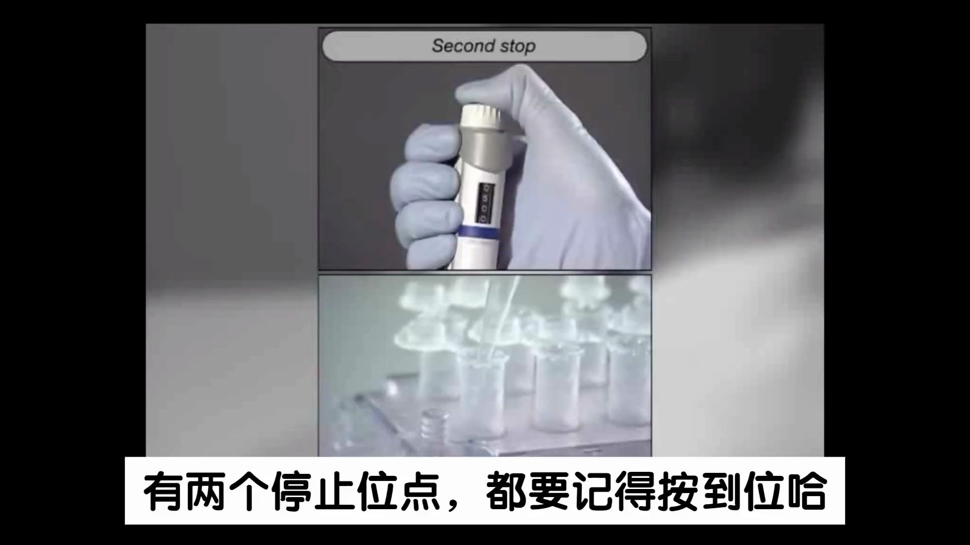 教程pipette移液器使用哔哩哔哩bilibili