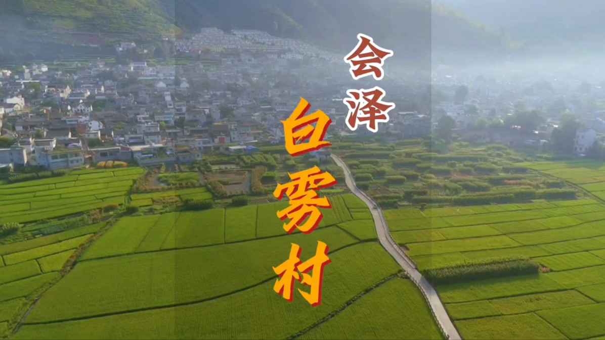 山野间,稻田里,赏一池荷景