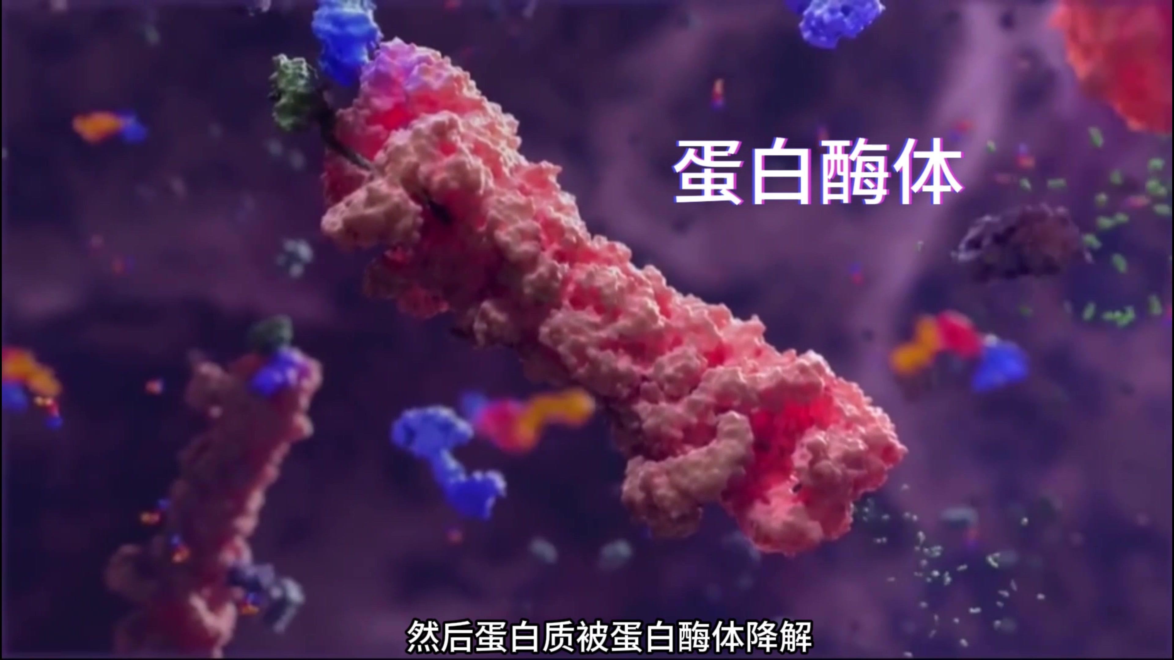 猫咪给你介绍:如何用靶向蛋白质降解来治疗乳腺癌?喵喵喵