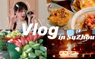 Download Video: VLOG | 一个人去苏州见颜人中沈以诚🌟你一句春不晚，我热死在真江南🥵