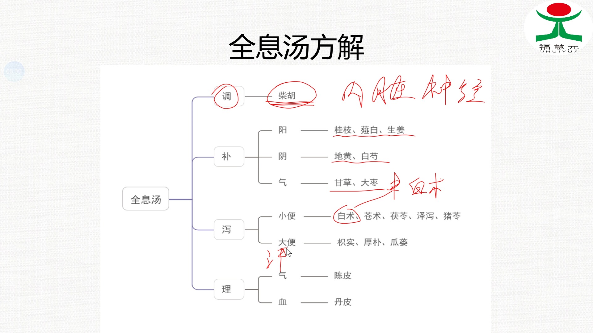 全息汤解构哔哩哔哩bilibili