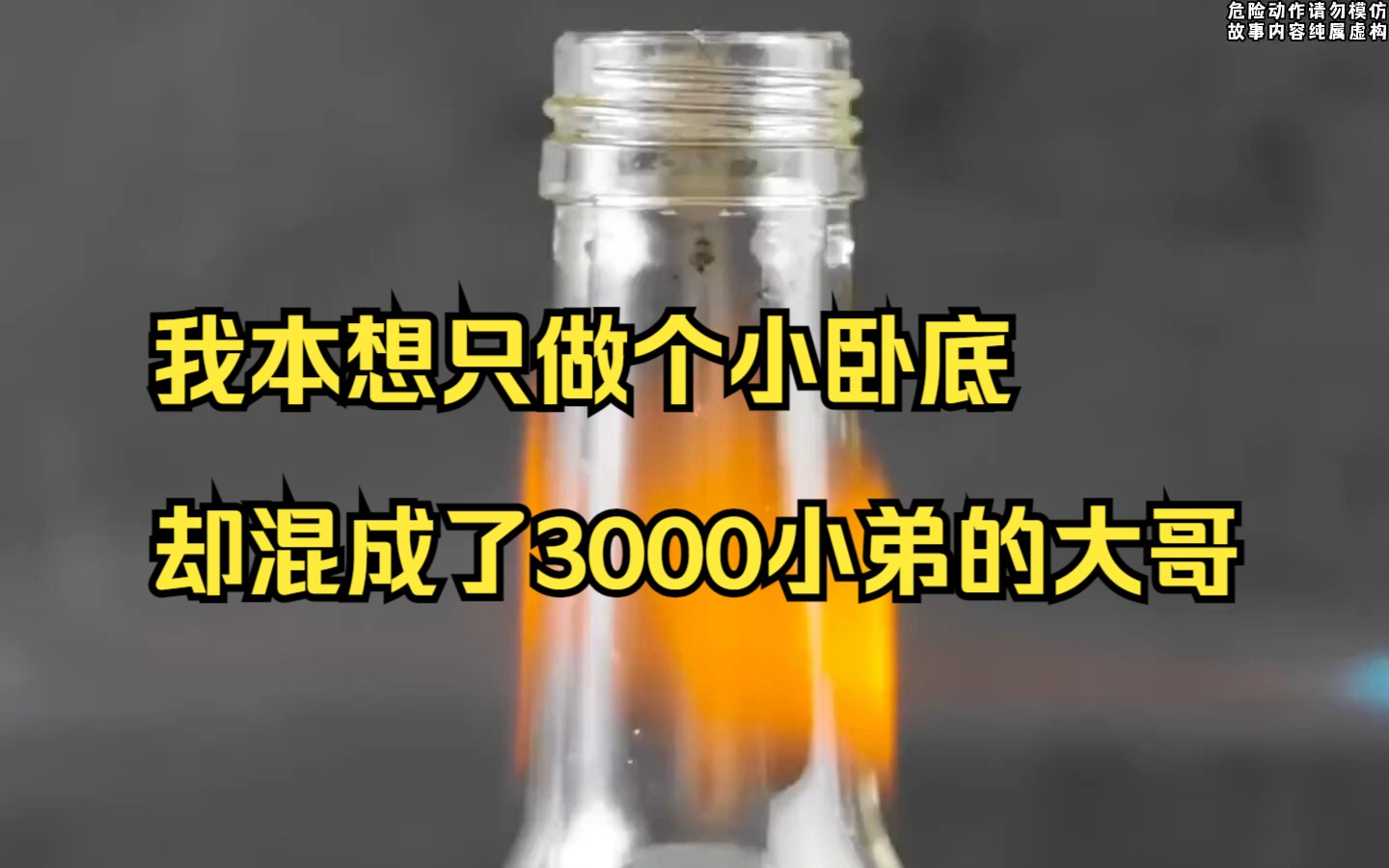 【小说推荐】我本想只做个小卧底,却混成了3000小弟的大哥哔哩哔哩bilibili