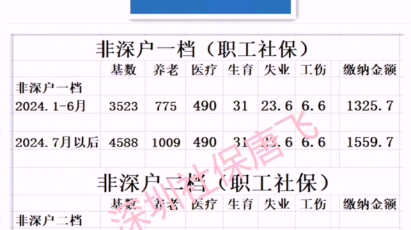 2024年深圳社保缴纳明细