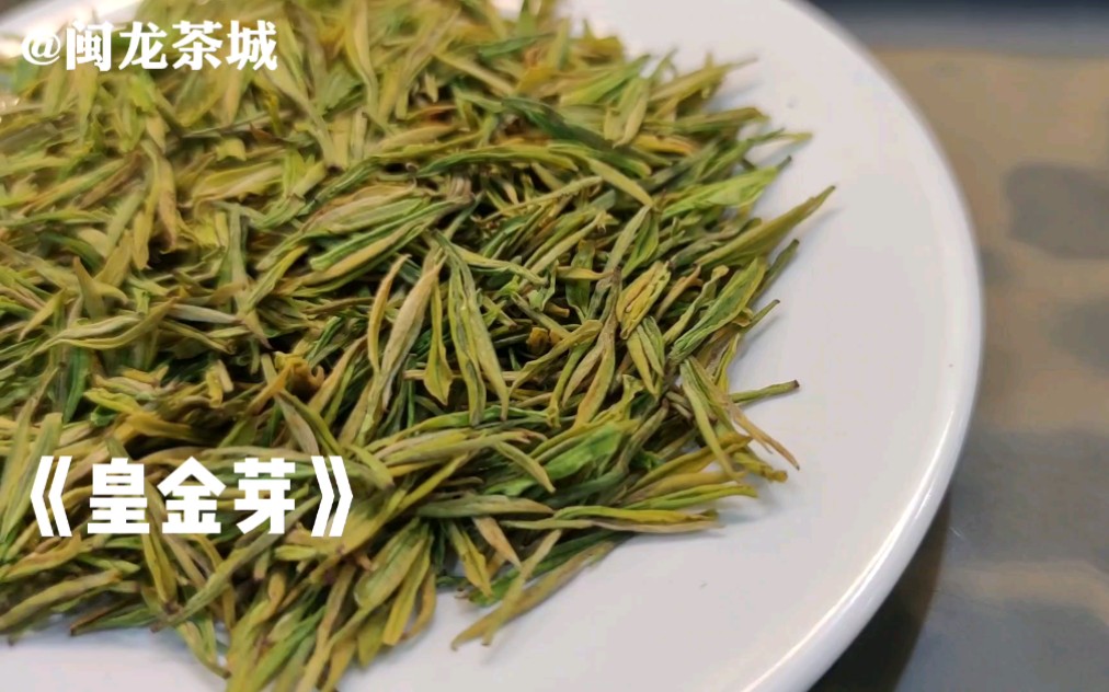 【茶文化】刷新你对绿茶的认知,真的很好喝的皇金芽!哔哩哔哩bilibili