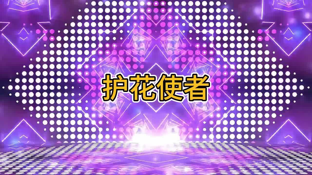 护花使者年会演出动感背景视频完整版哔哩哔哩bilibili