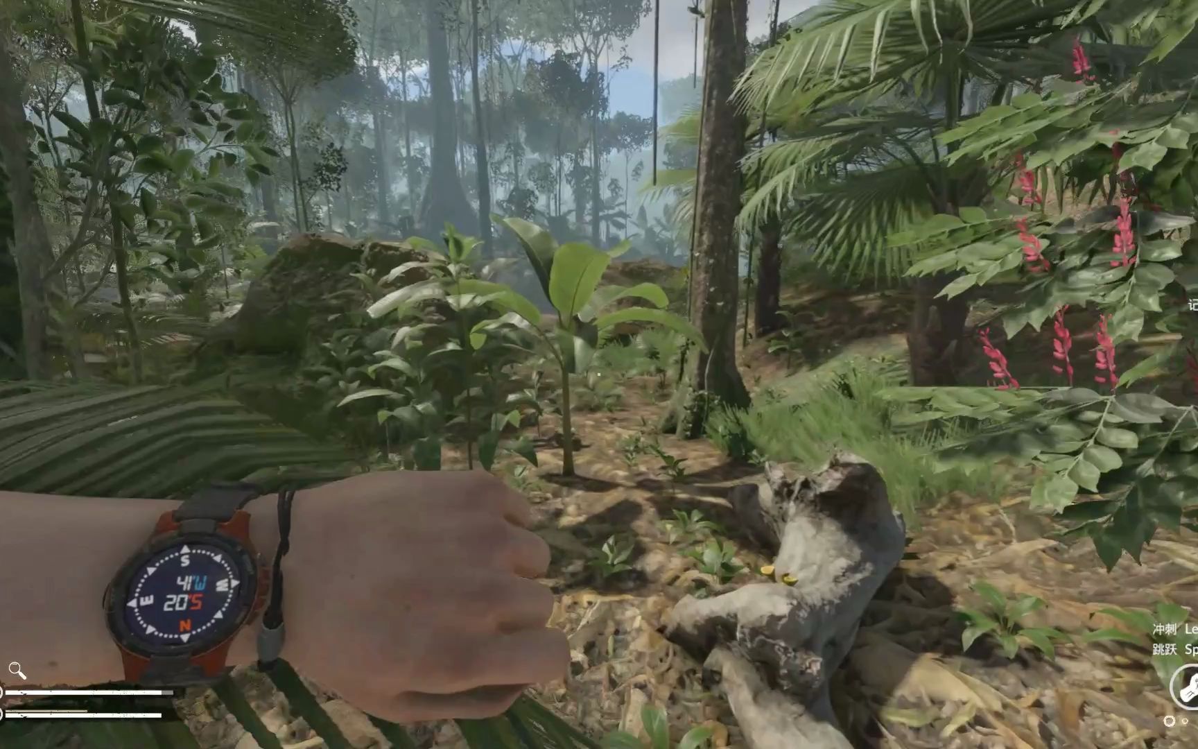 greenhell绿色地狱part2安奇先生