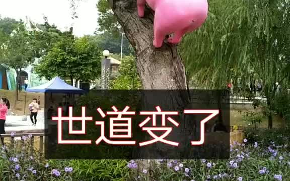 世道变了_哔哩哔哩_bilibili