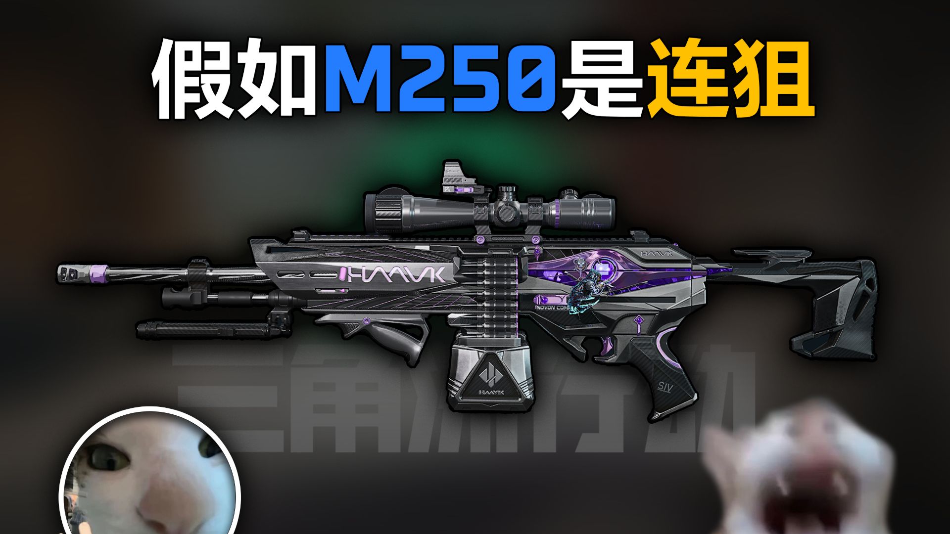 假如M250是连狙