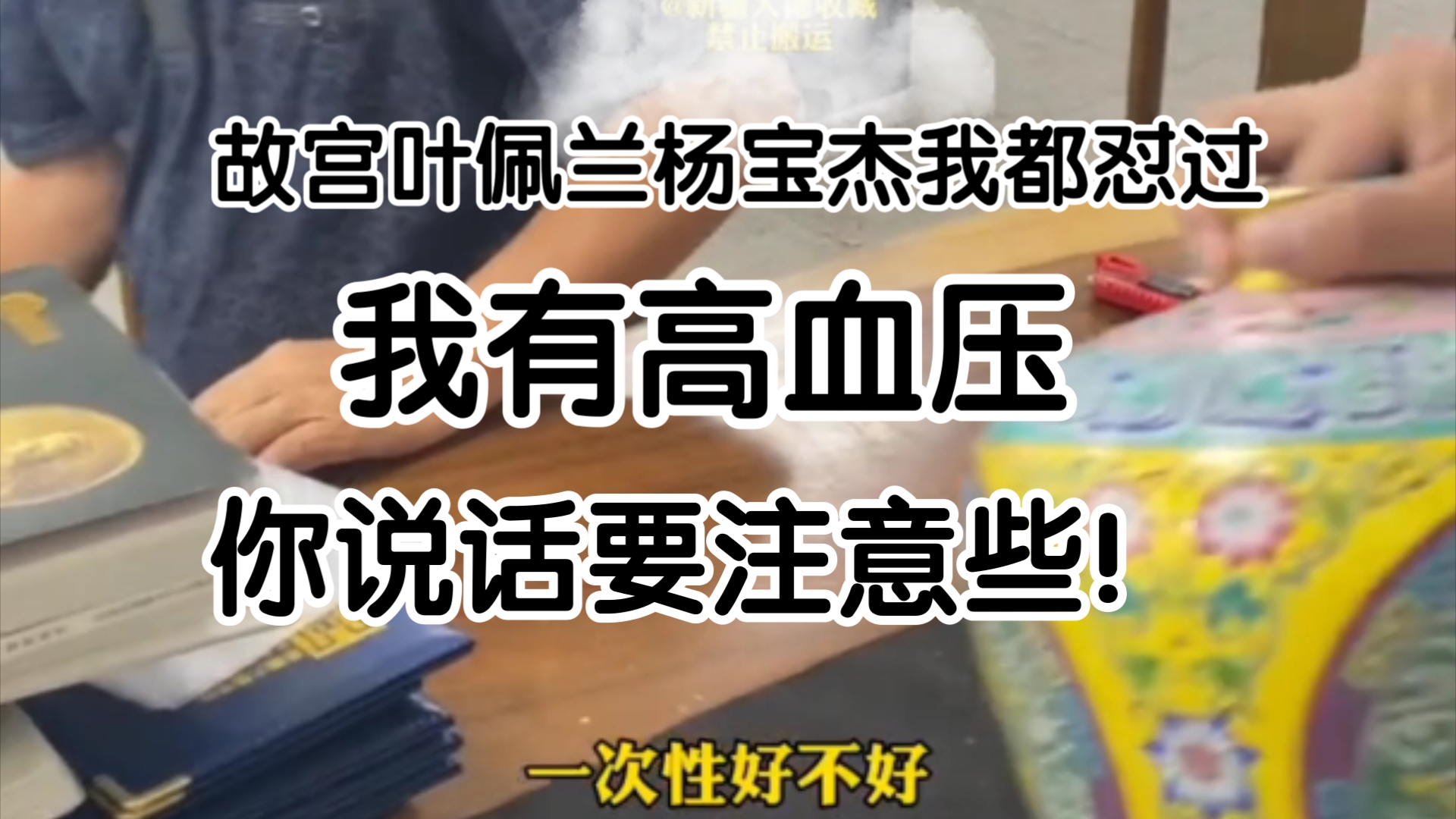 故宫专家叶佩兰和杨宝杰都被我怼过了!我有高血压你说话要注意哔哩哔哩bilibili