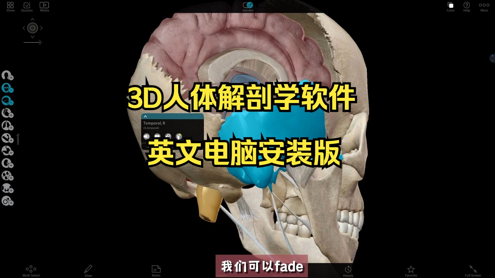 英文版3D人体解剖学软件电脑安装使用哔哩哔哩bilibili