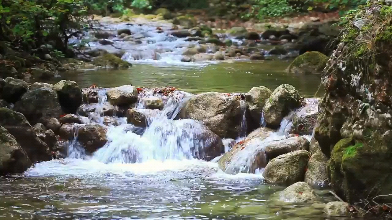 山间瀑布,森林的美景