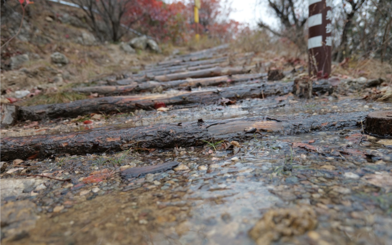 舞彩浅山滨水国家登山步道图片