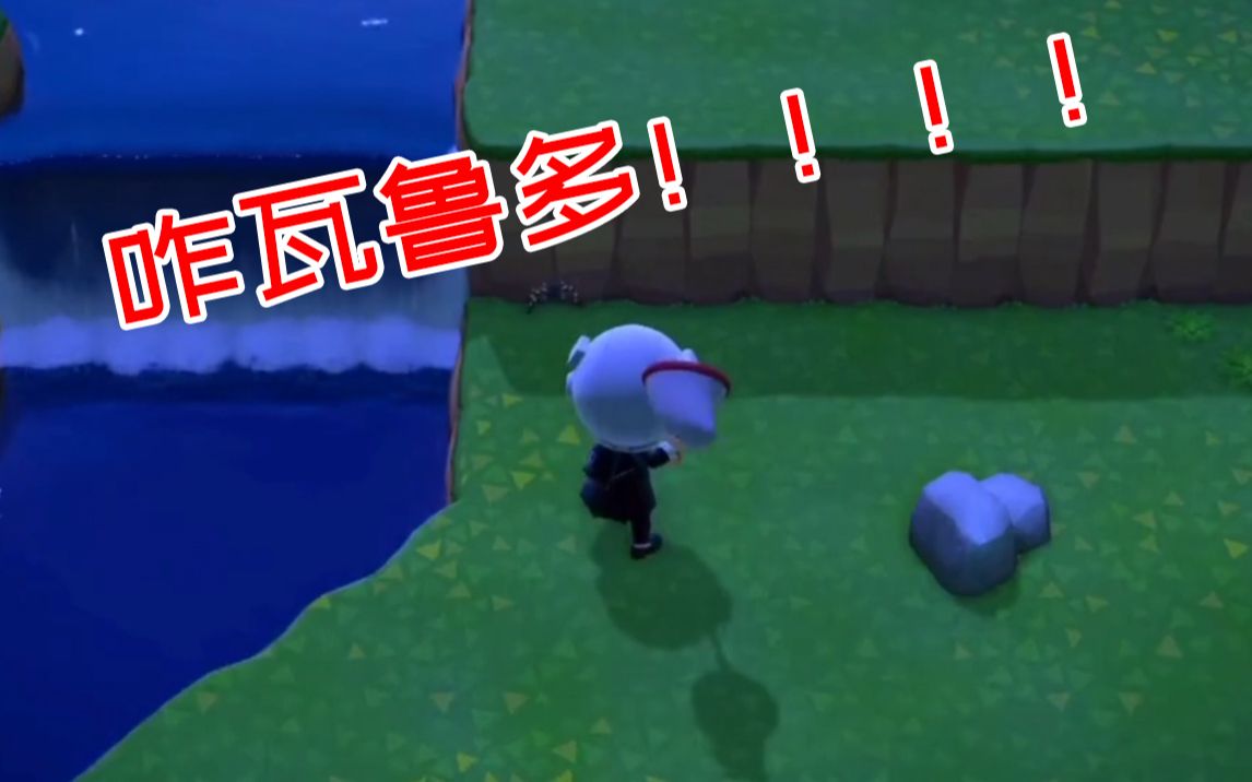 当你在动森发现一只卡bug的狼蛛.