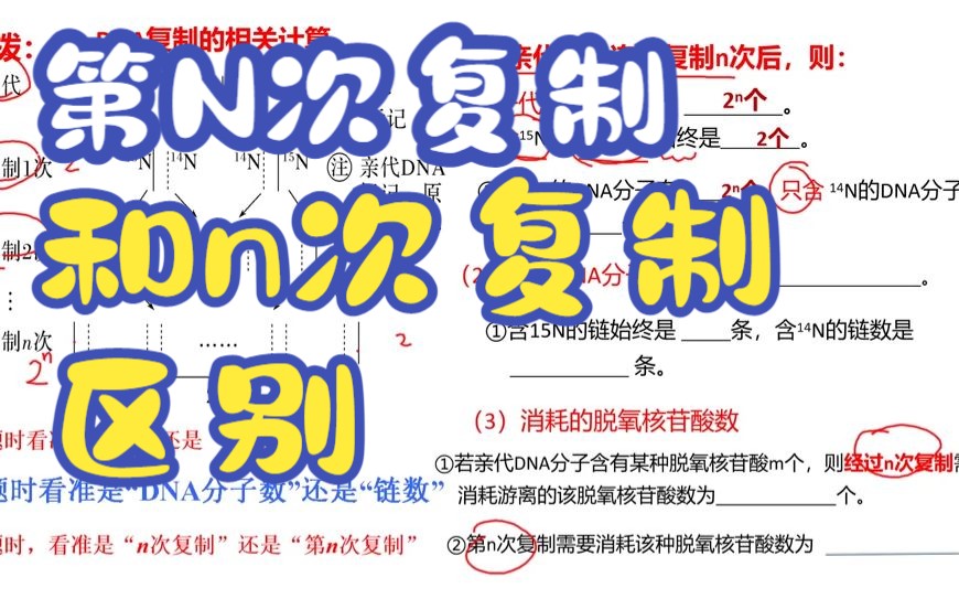 第n次复制和n次复制需要多少脱氧核糖核苷酸哔哩哔哩bilibili