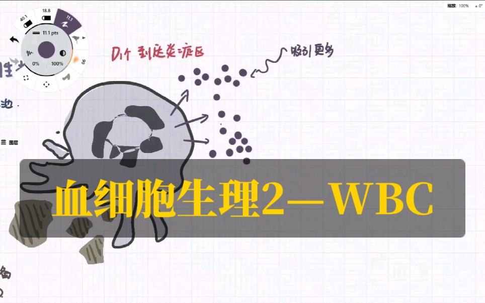 关于白细胞你需要知道的那些事儿~【进度条跳到第2分钟起进入中性粒单核嗜碱嗜酸性细胞功能详解】哔哩哔哩bilibili