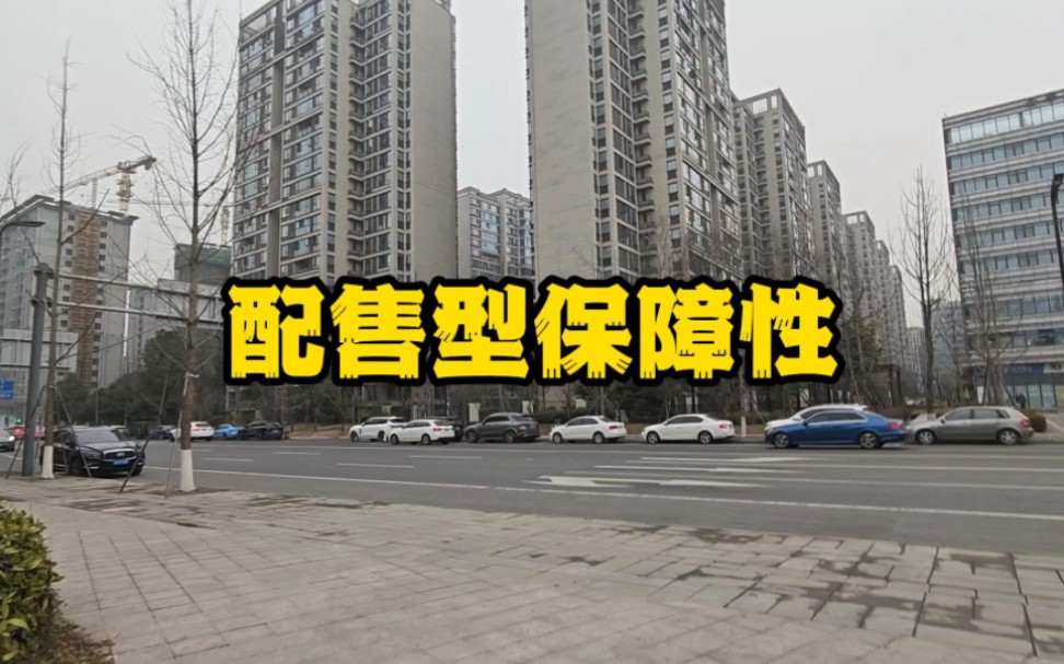 配售型保障性住房来了,价格只有商品房一半,你还炒房吗?哔哩哔哩bilibili