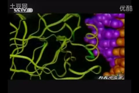 5分钟CCTV4ⷧ瑦•™片之窗栏目 《自由基、超氧化物歧化酶SOD和人体健康》标清哔哩哔哩bilibili