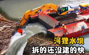 Descargar video: 河狸建造的水坝，为什么用要挖掘机给它拆了？