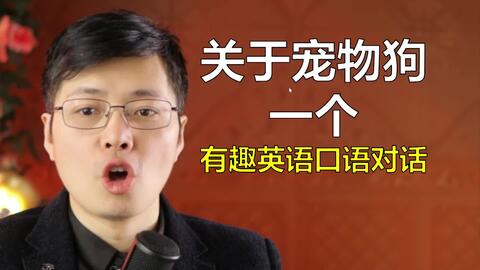 长毛一er 用英语怎么说 跟山姆老师学一个关于宠物狗的小对话 哔哩哔哩