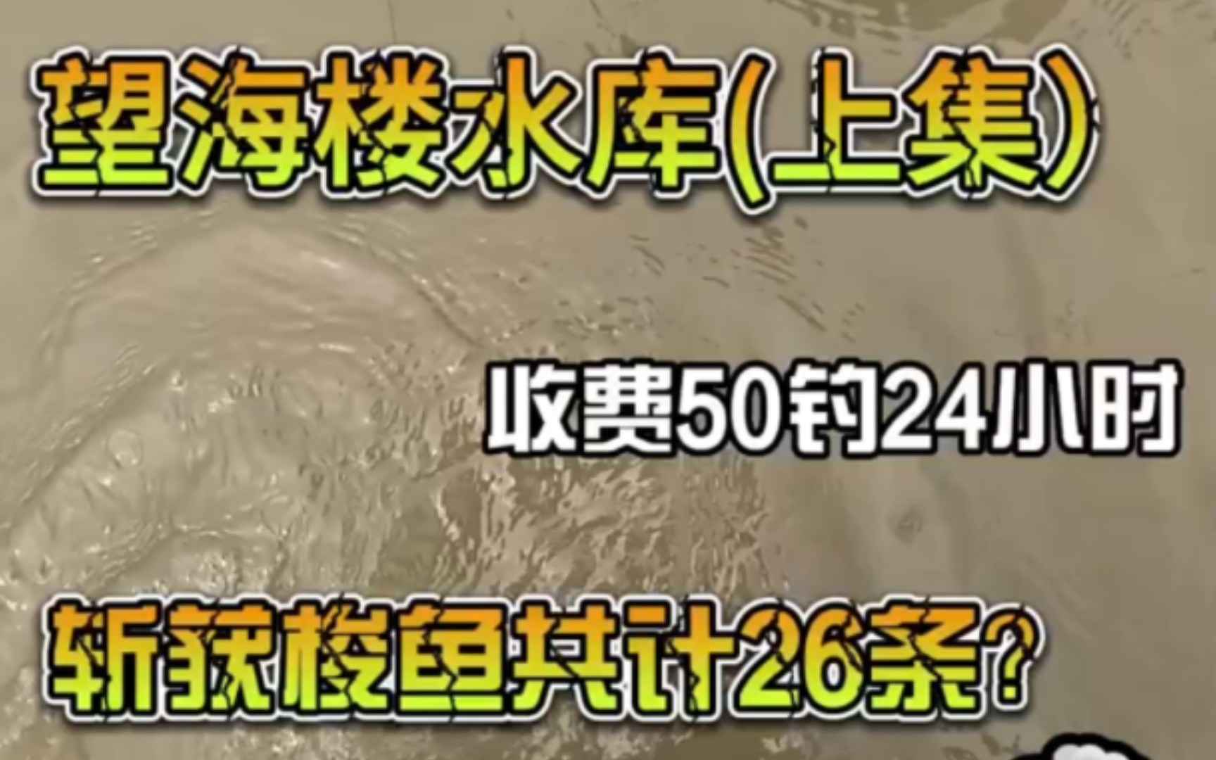 收费50的水库上集:真正的高手不但能钓鱼 还能徒手抓鱼#梭鱼钓哔哩哔哩bilibili