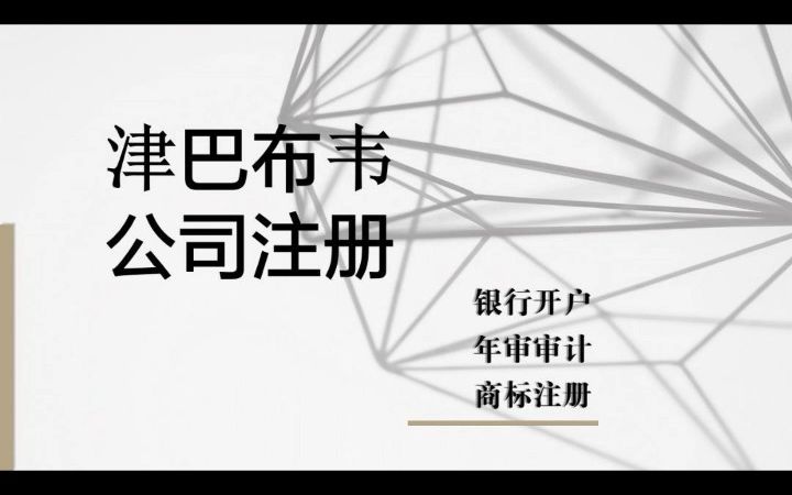 津巴布韦公司注册哔哩哔哩bilibili