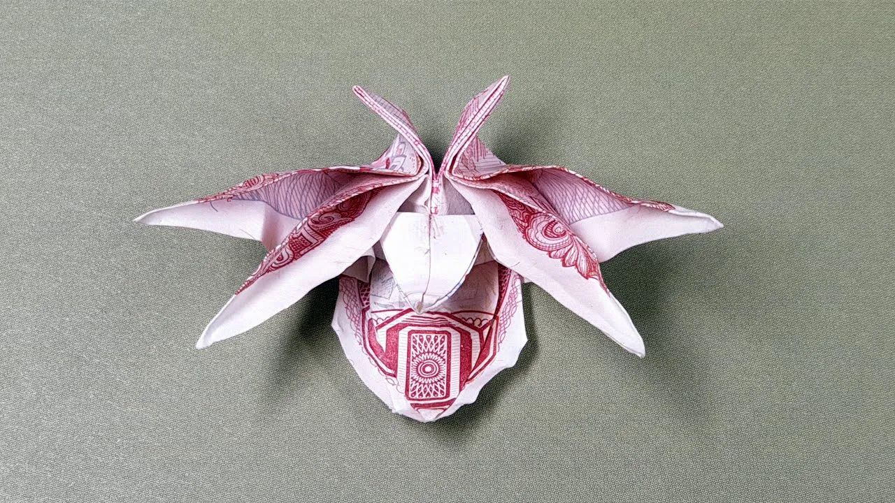 兰花折纸教程图片