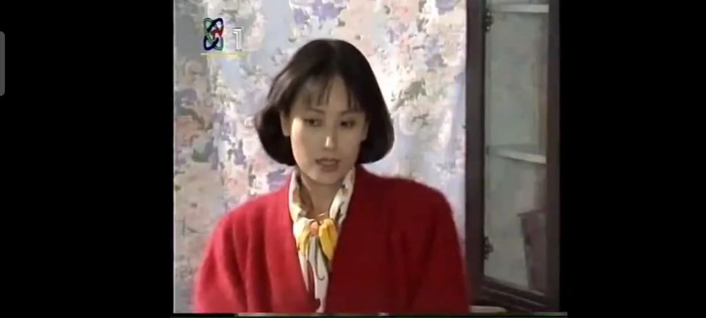 1994年电视剧,住别墅的女人哔哩哔哩bilibili