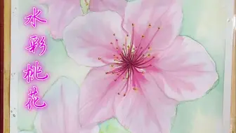 水彩透明花朵 如何画清爽透明的花朵一步一步绘画教程 哔哩哔哩 Bilibili