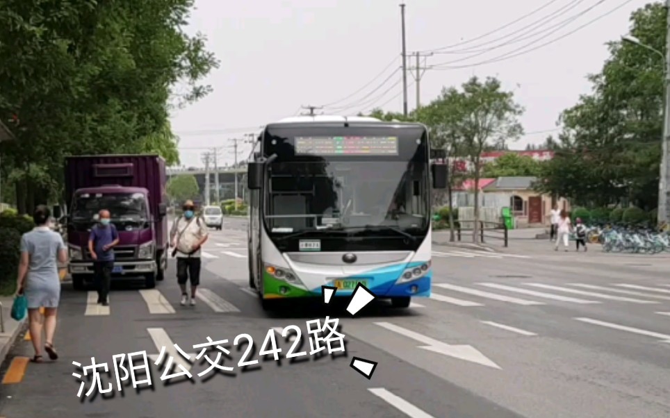 【沈阳公交POV10】 242路 (金山小区>保工街南十四路)哔哩哔哩bilibili