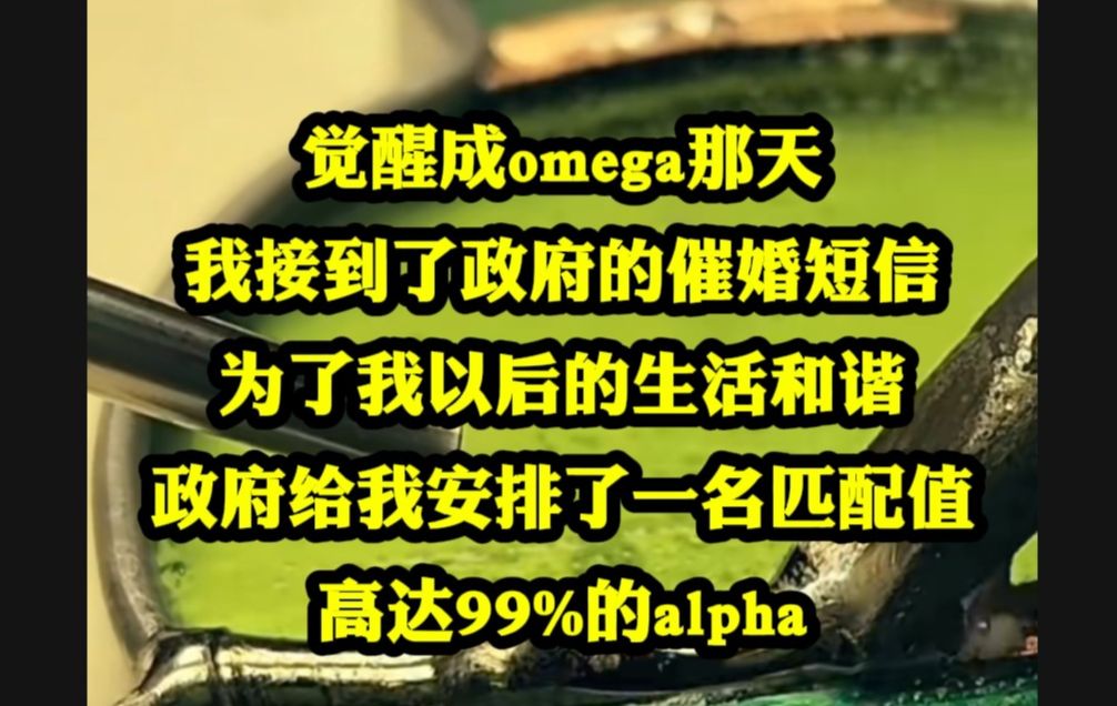 觉醒成omega那天,我接到了政府的催婚短信,为了我以后的生活和谐,政府给我安排了一名匹配值高达99%的alpha....哔哩哔哩bilibili