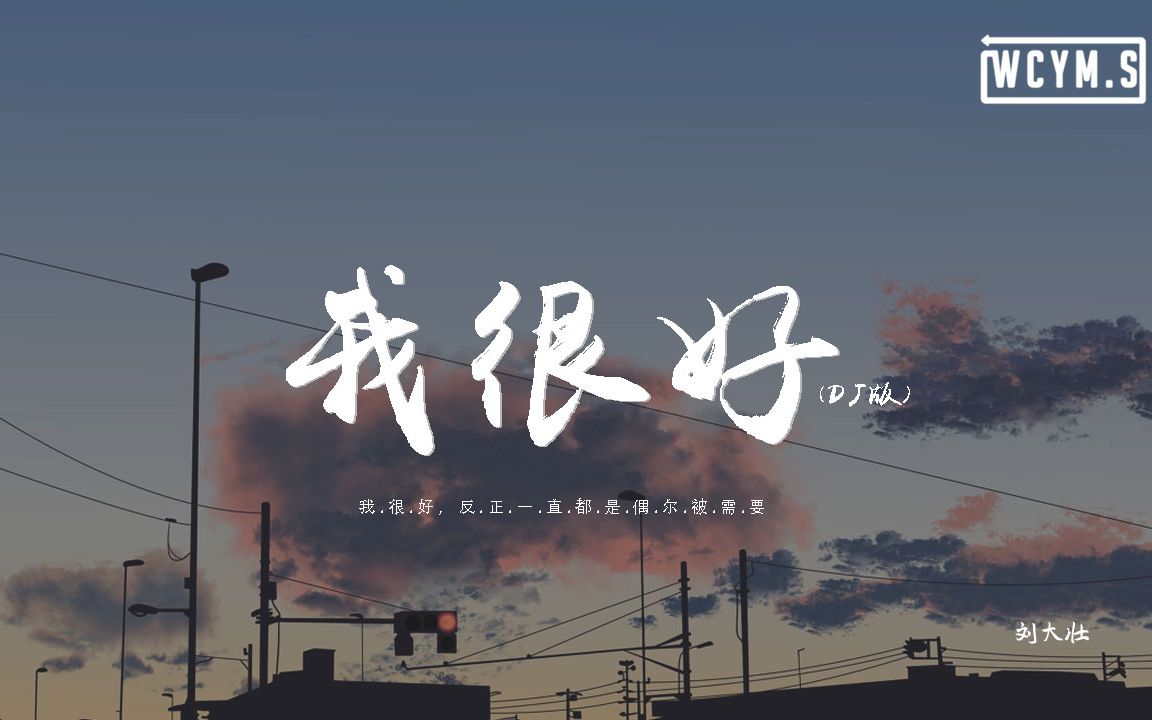 刘大壮 - 我很好 (dj版)「我很好,反正一直都是偶尔被需要」【動態