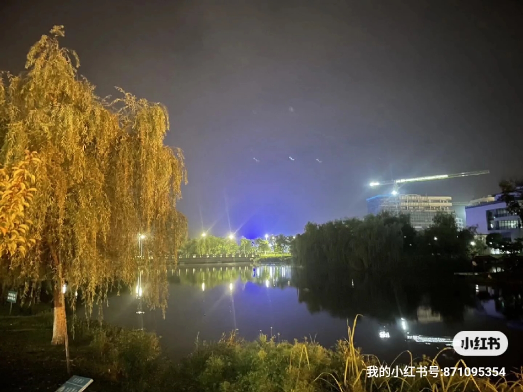 浙江师范大学行知学院哔哩哔哩bilibili