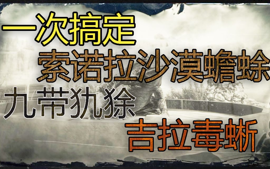 【荒野大镖客:救赎2】使用亚瑟,一次集齐位于新奥斯汀的索诺拉沙漠蟾蜍、吉拉毒蜥、九带犰狳游戏集锦