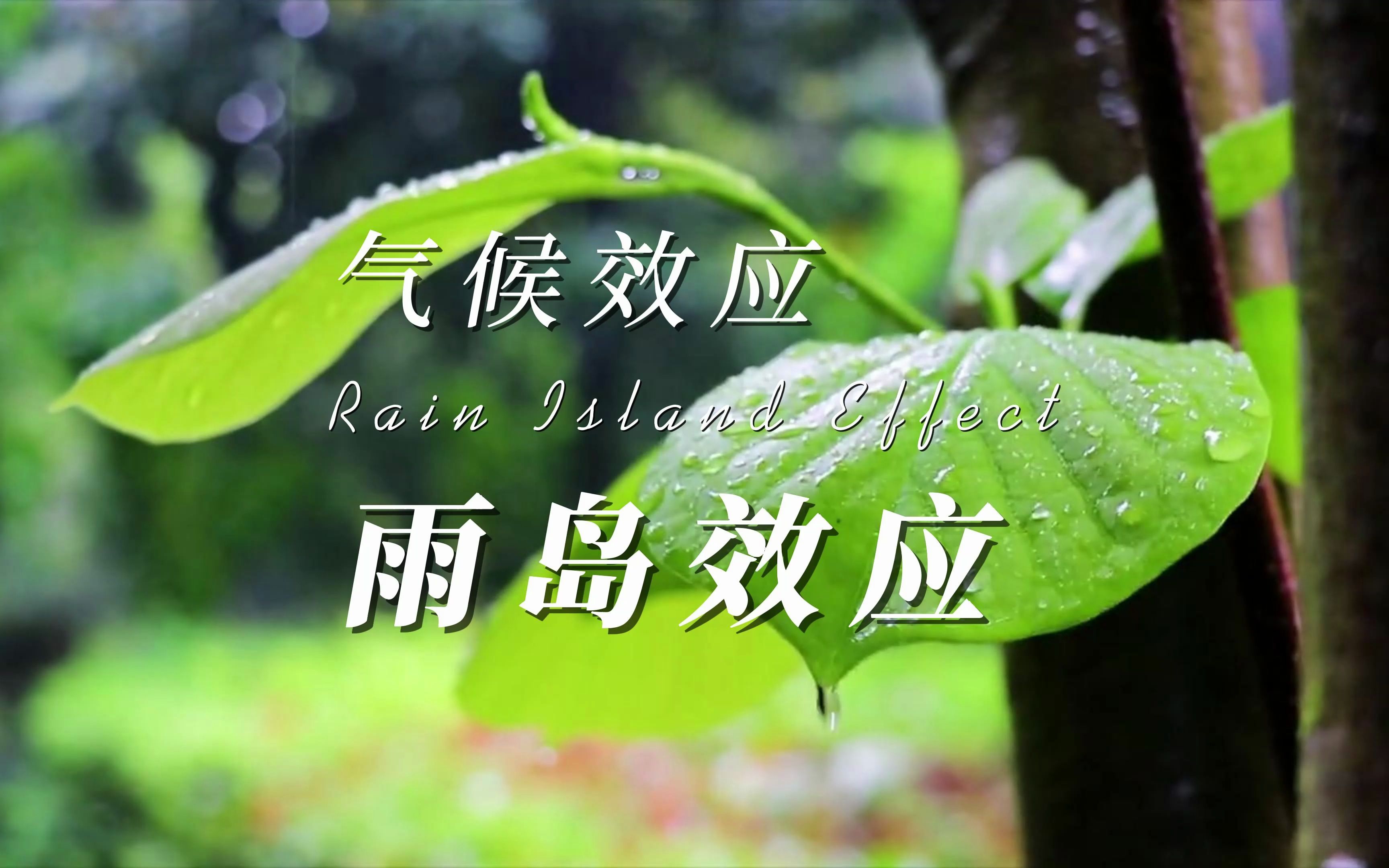 [图]【能环宝气候效应】雨岛效应来了！干岛就有救了吗？#气候 #科普 #环保