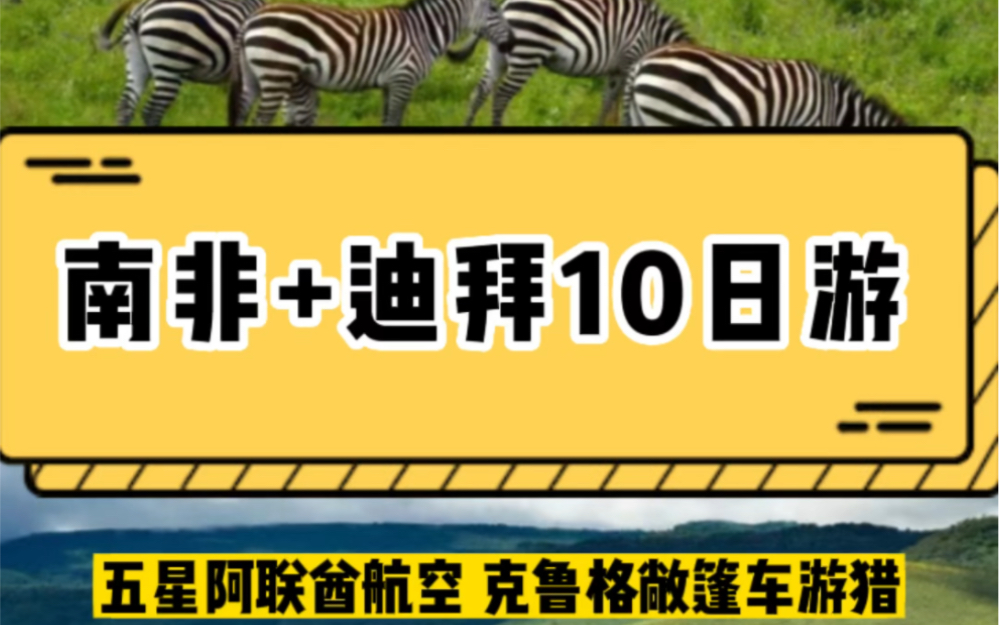 [图]【南非+迪拜】10日游