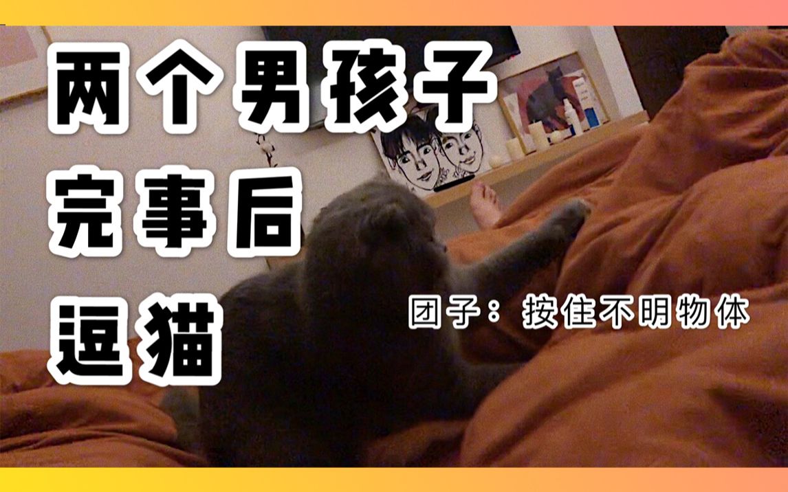 [图]两 个 男 孩 子 完 事 后 的 逗 猫 现 场