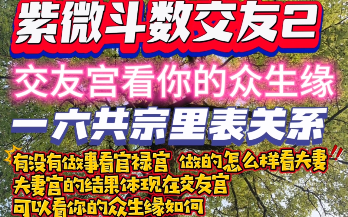 紫微斗数交友宫2交友宫看你的众生缘,是夫妻宫的一六共宗哔哩哔哩bilibili