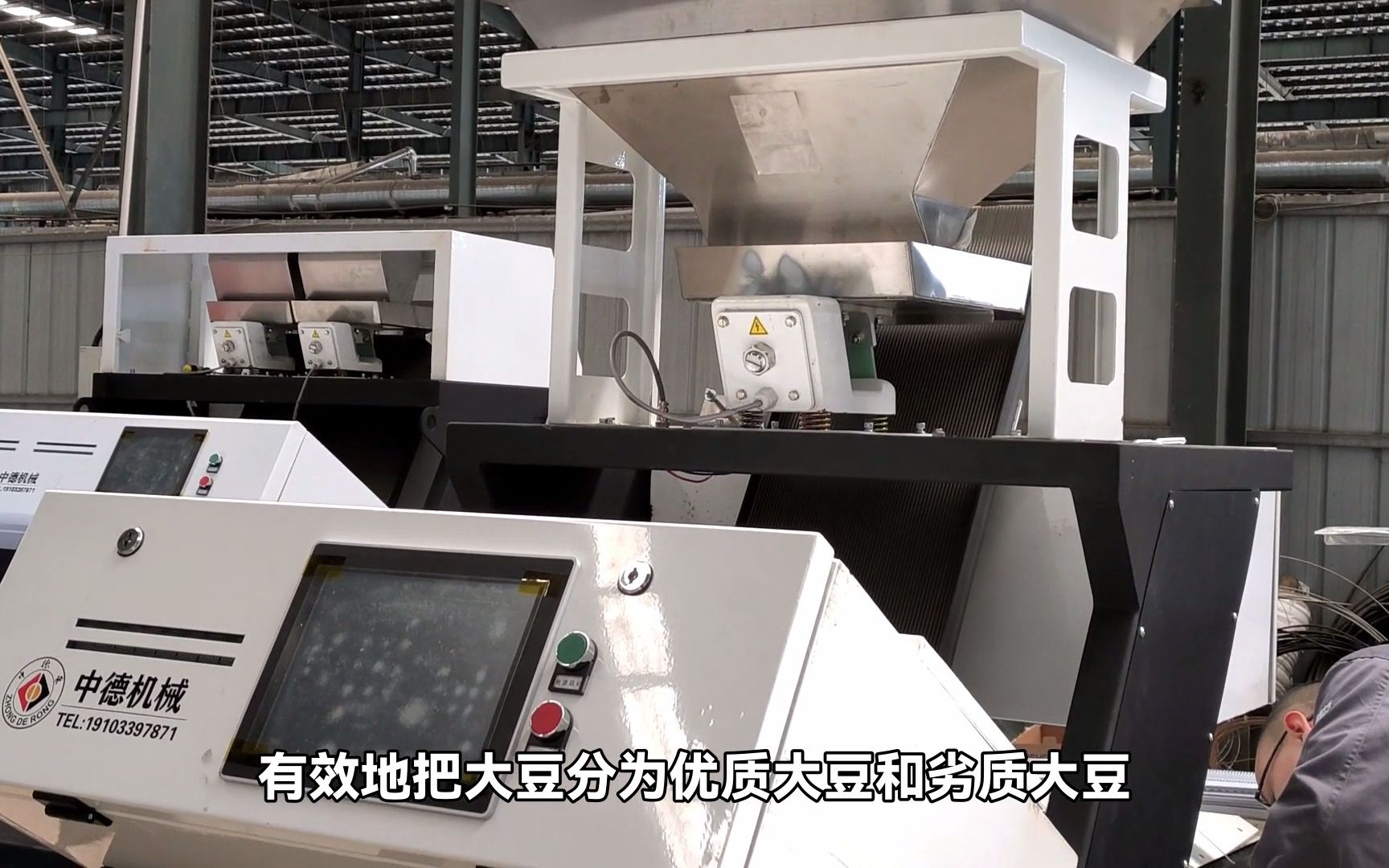 豌豆色选机分选大豆杂质和异色