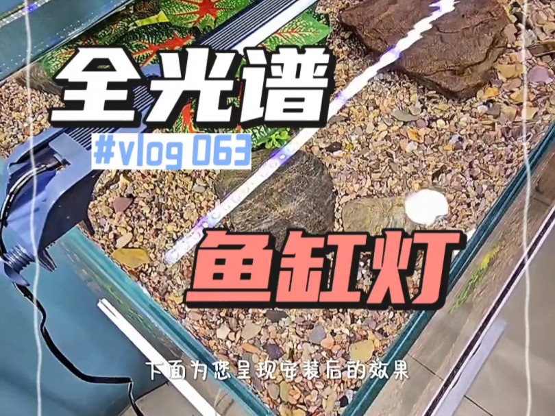 吉印鱼缸灯led防水照明水族箱全光谱超亮支架小型专用节能增艳 #观赏