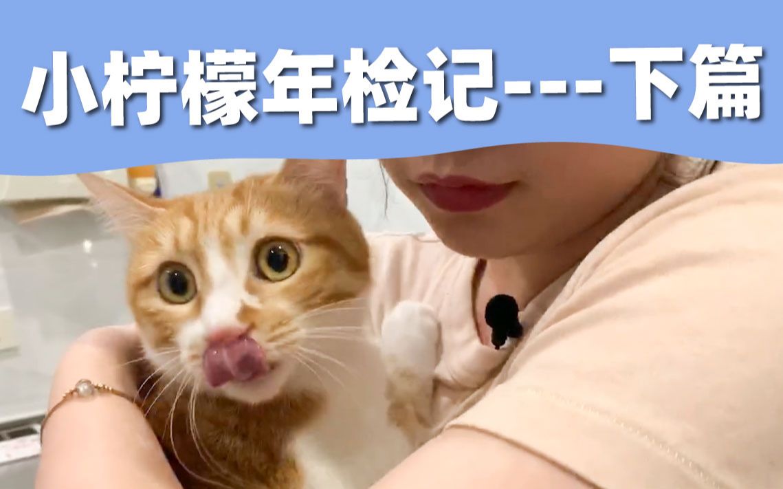 全网体检最乖的小橘猫,严重怀疑自己养了一只假猫|养猫体检vlog哔哩哔哩bilibili