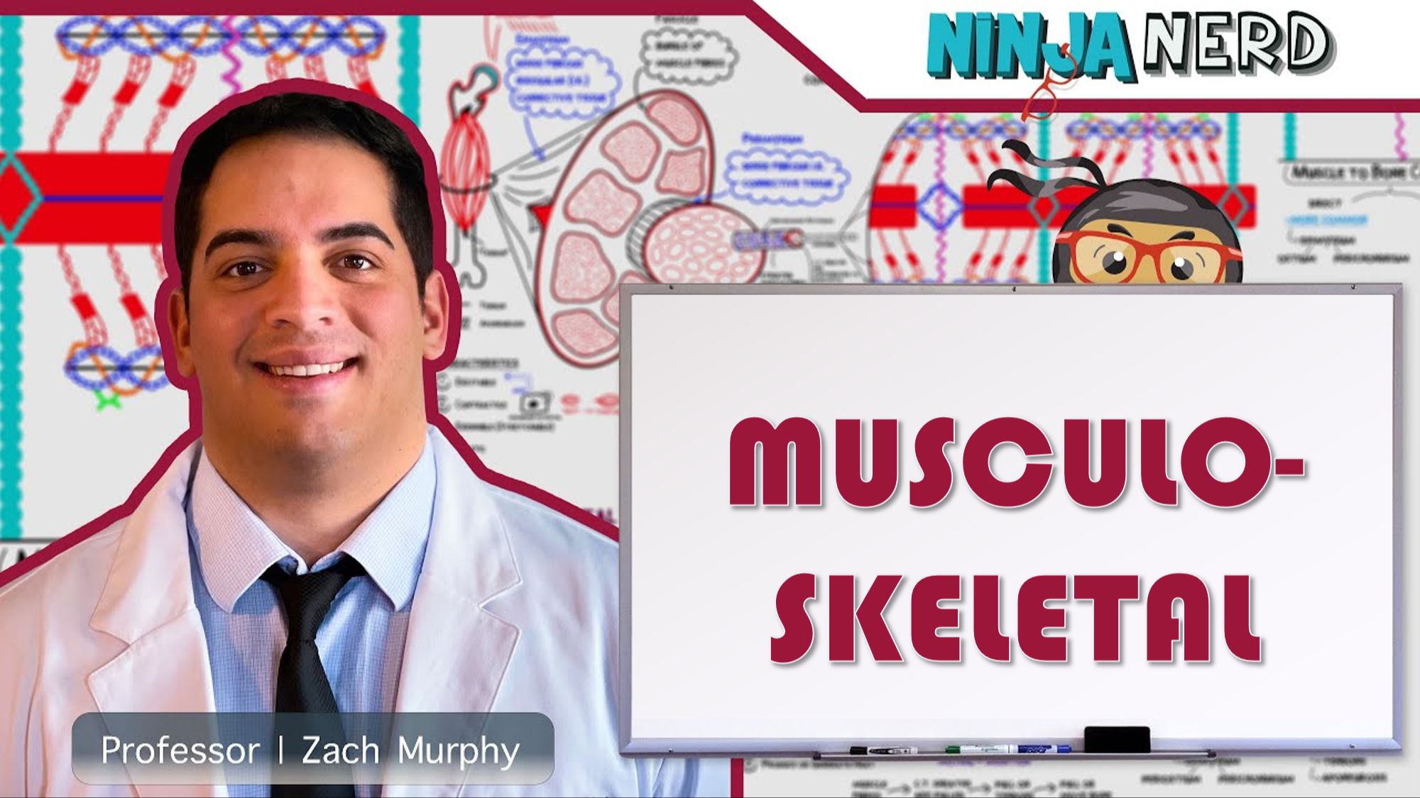 ninja nerd | musculoskeletal | 肌肉骨骼运动系统