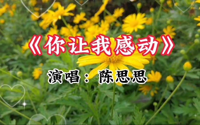 [图]陈思思演唱的歌曲《你让我感动》，一份真心，一份感动。感人至深