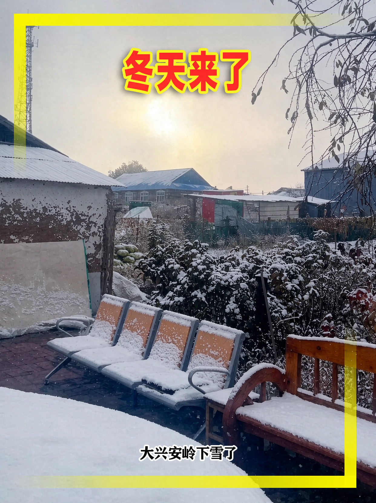 冬天来了，大兴安岭下雪，都白了