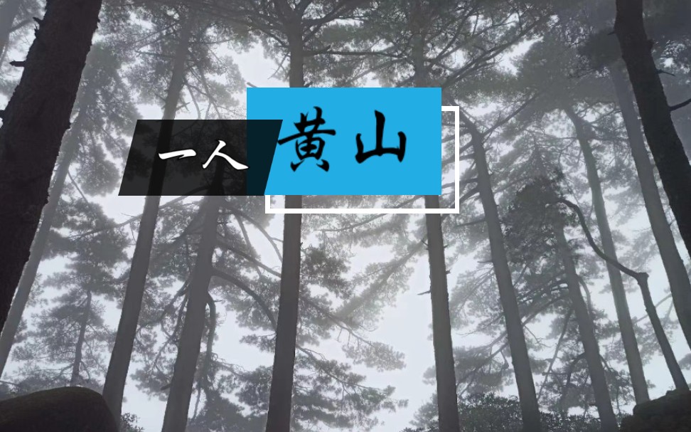 [图]【黄山】从雨到晴一人行｜烟雨蒙蒙｜山间无人独我享